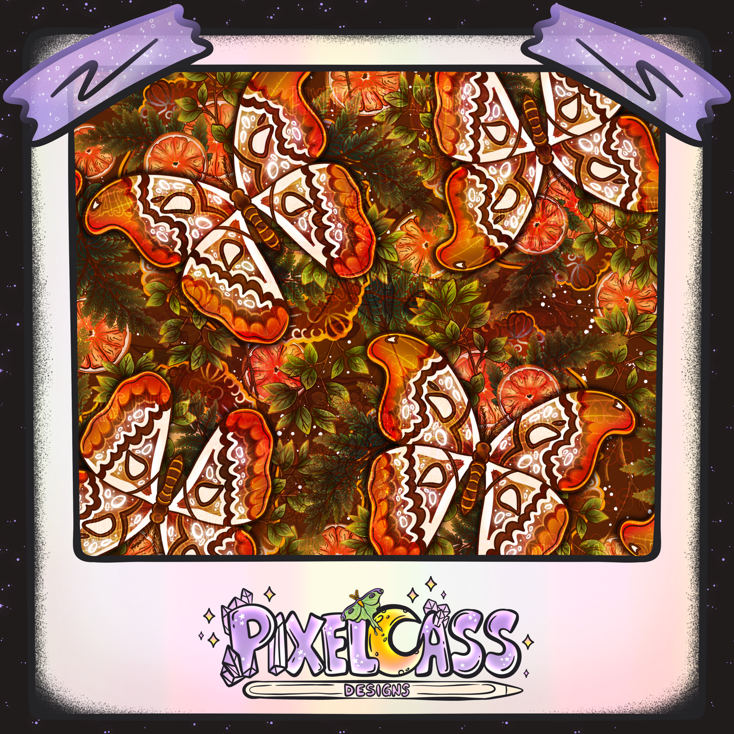 Framed Atlas Moth Oddity