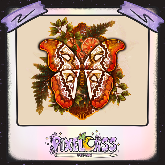 Framed Atlas Moth Oddity PNG SUBLIMATION