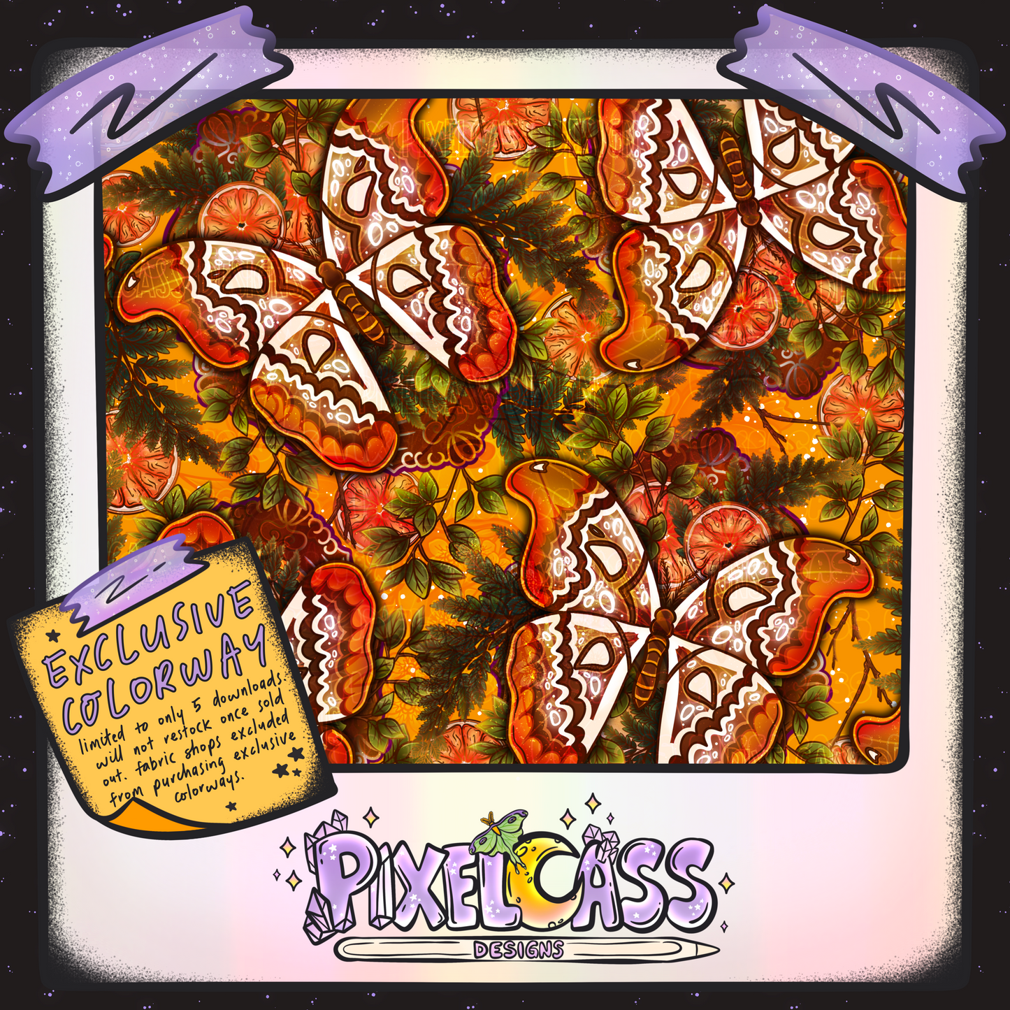 Framed Atlas Moth Oddity