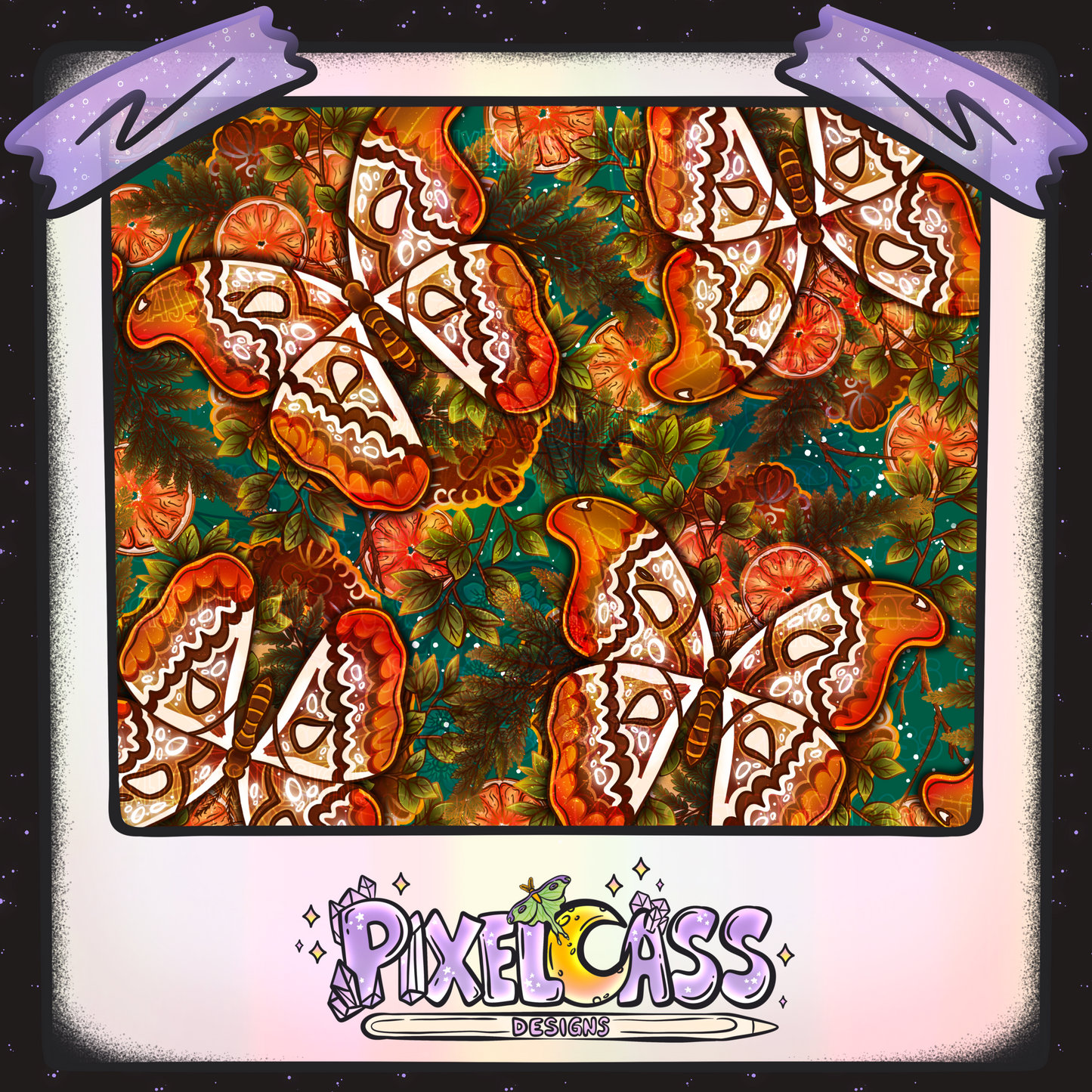 Framed Atlas Moth Oddity