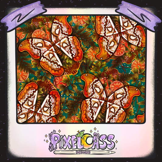 Framed Atlas Moth Oddity
