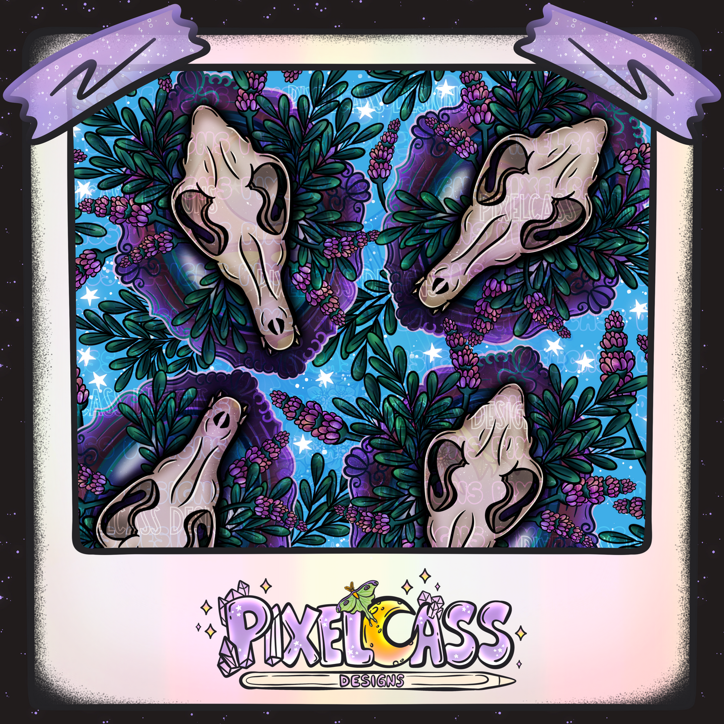 Framed Coyote Oddity