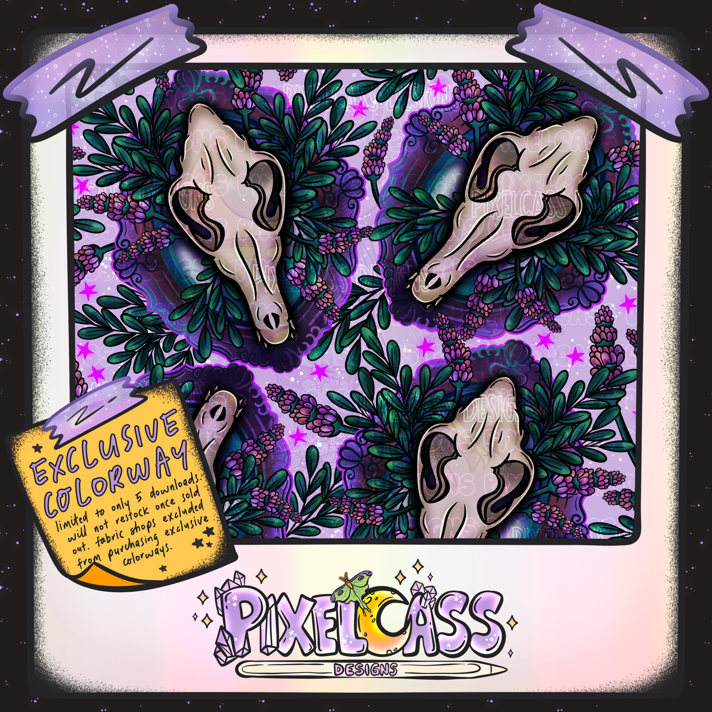 Framed Coyote Oddity