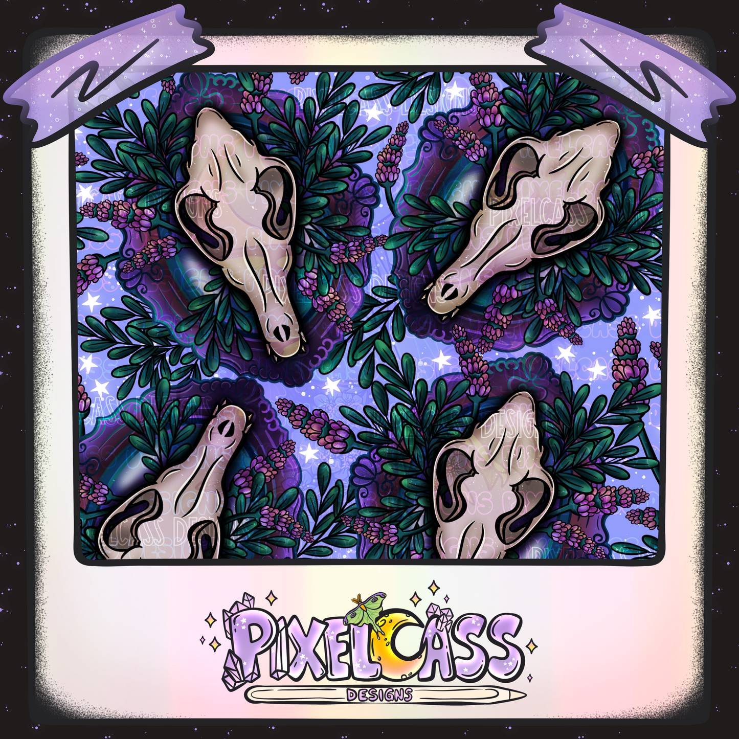 Framed Coyote Oddity