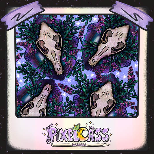 Framed Coyote Oddity