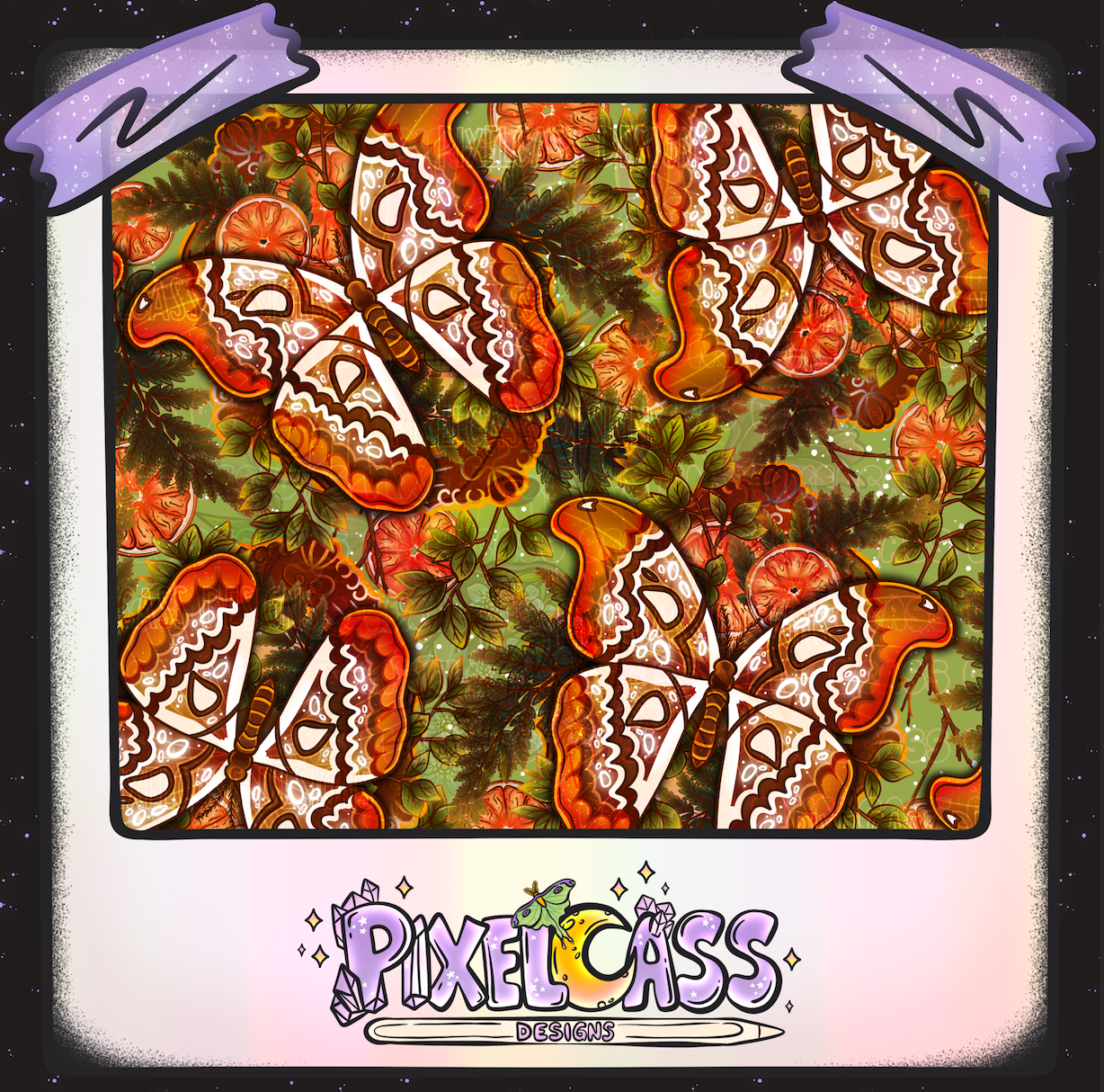 Framed Atlas Moth Oddity