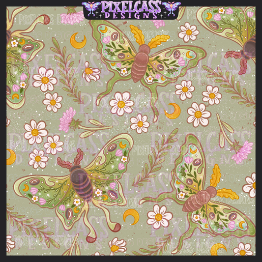 Vintage Moths